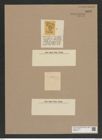 Cyclostella sp. (de-Toni-Nr.: Genus 216) Zeichnungen Sammlung Grunow Nr. 9353 (NHMW-BOT-W0379177)